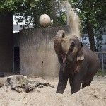 Artis Royal Zoo Amsterdam