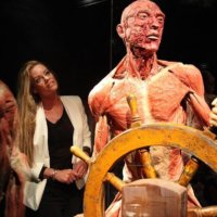 BODY WORLDS Amsterdam