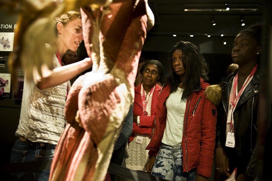 BODY WORLDS guide
