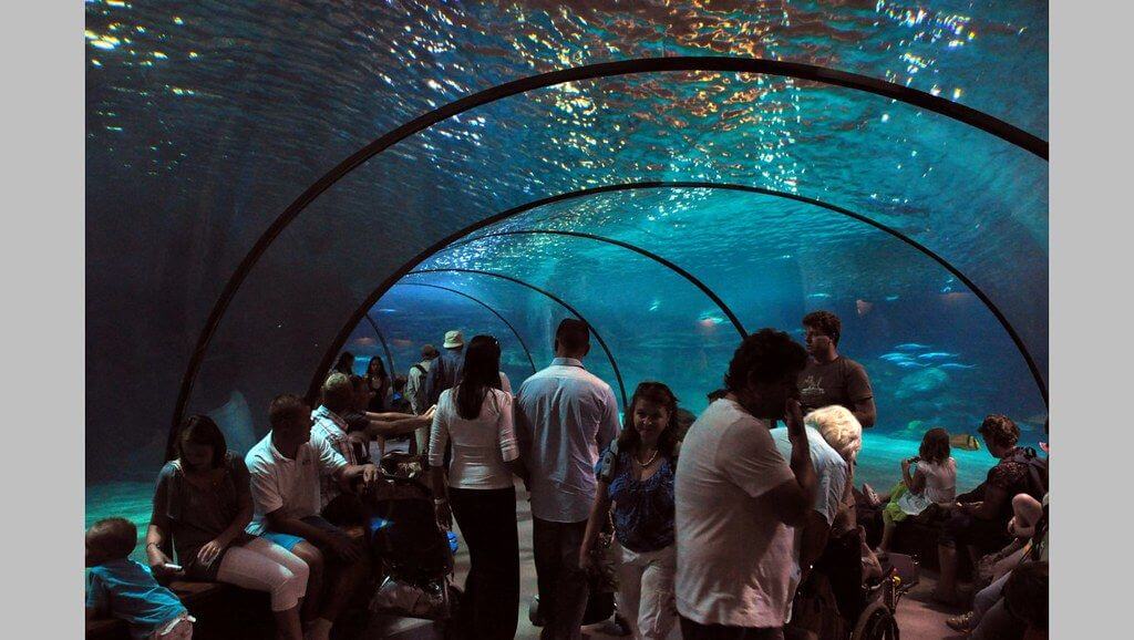 Diergaarde Blijdorp Jardim Zoológico de Roterdão