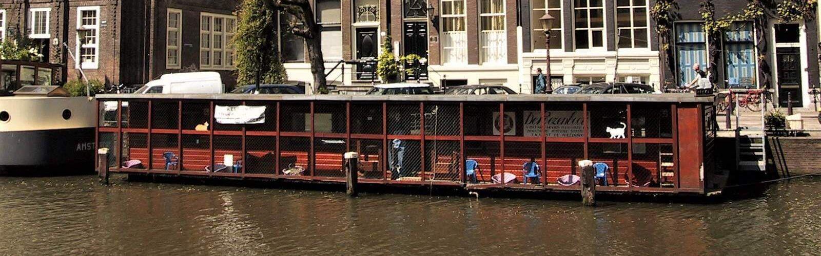 The Catboat - De Poezenboot