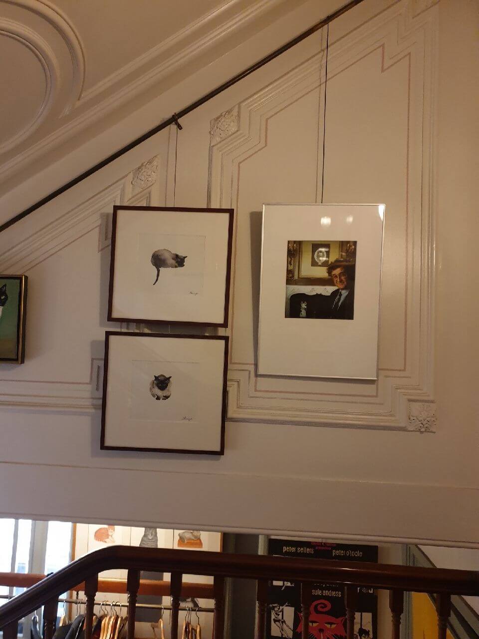 Portraits of cats at Het Kattenkabinet Amsterdam