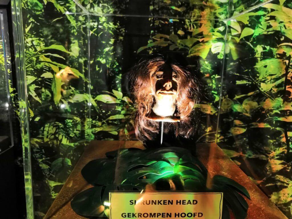 Testa rimpicciolita da Ripley's!