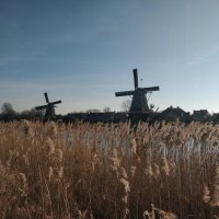 Weesp