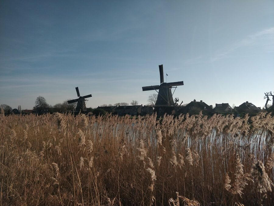 Due mulini a vento olandesi a Weesp situati sulla “Utrechtseweg”