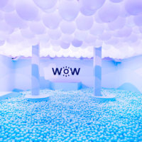 WONDR Experience