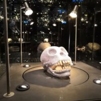 Diamond Museum