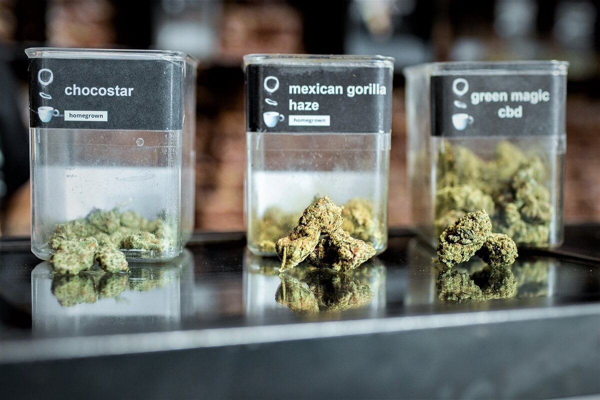 Quality Amsterdam weed buds