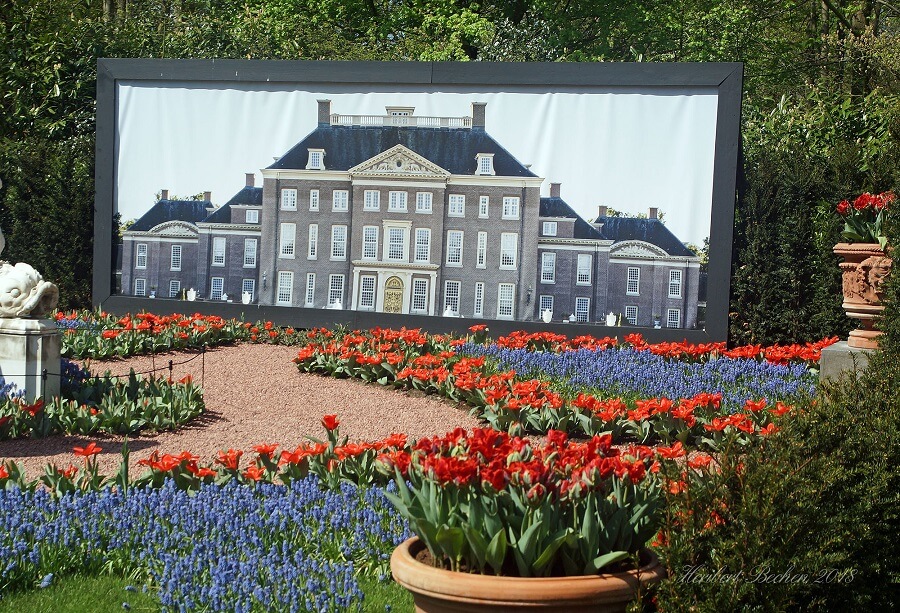 tulpen op de dam