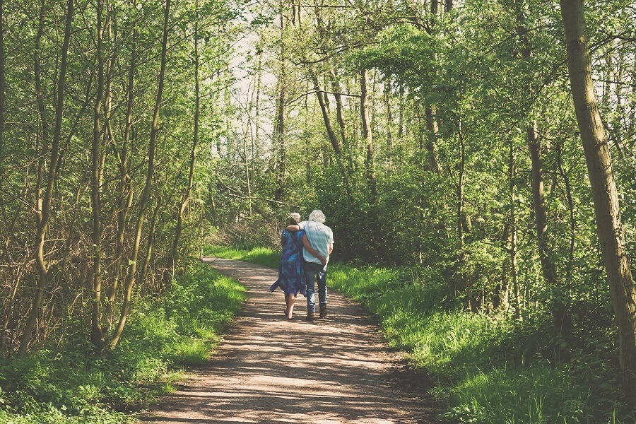 amsterdamse bos