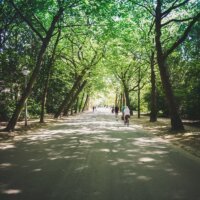 Parks in Amsterdam