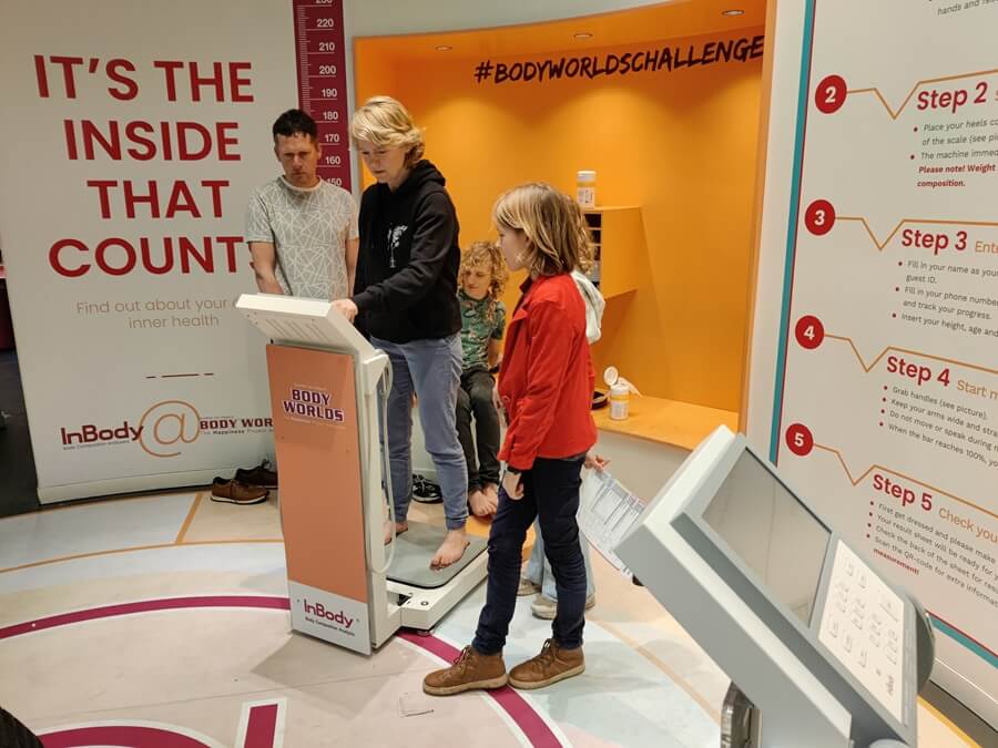 Body Worlds - analisi del corpo e del peso