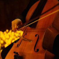 Candlelight Concert
