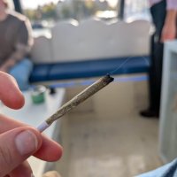 Cloud Boat Amsterdam – 420 Friendly Smoke Boat Tour