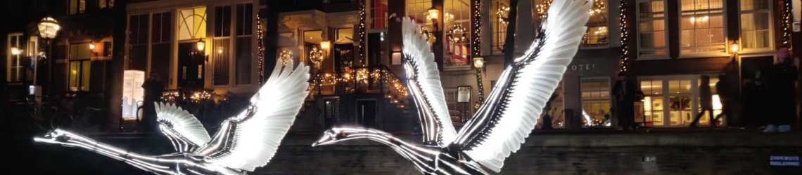 Swans artwork - Amsterdam Light Festival 2025