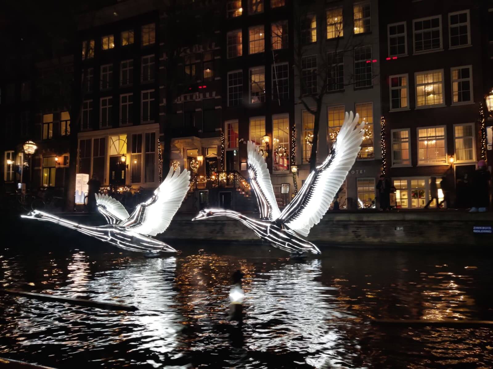 Swans artwork - Amsterdam Light Festival 2025