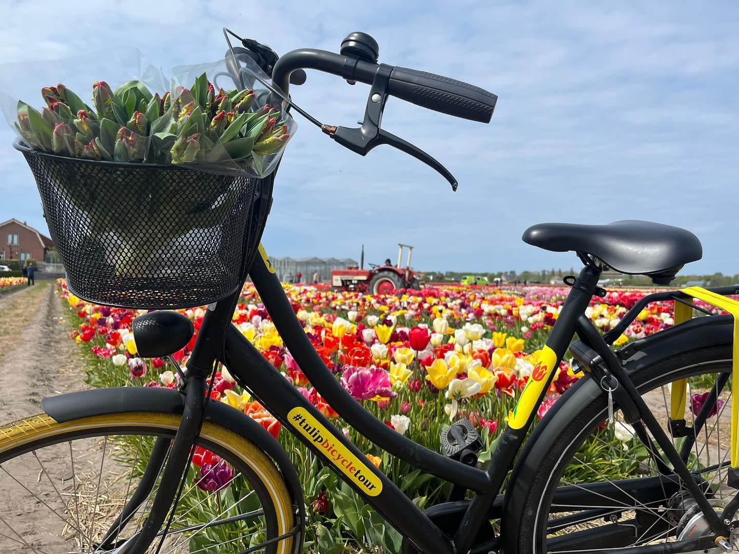 Tulpenfahrradtour
