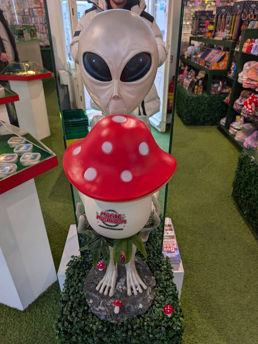 Der Smartshop Magic Mushroom Gallery – Alien vor Souvenirs Der Smartshop Magic Mushroom Gallery – Alien vor Souvenirs