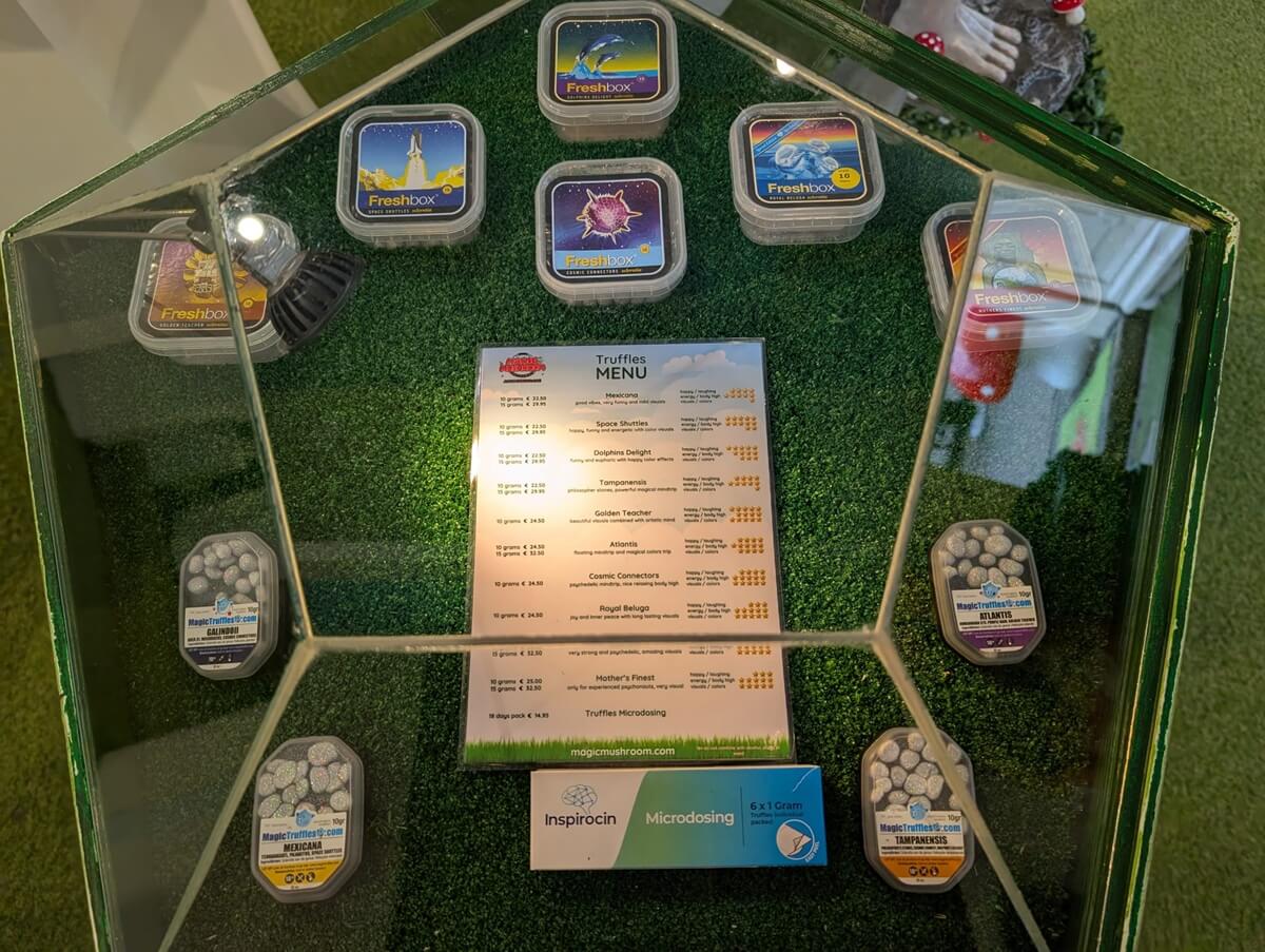 The Magic Mushroom Gallery smartshop - magic truffels display
