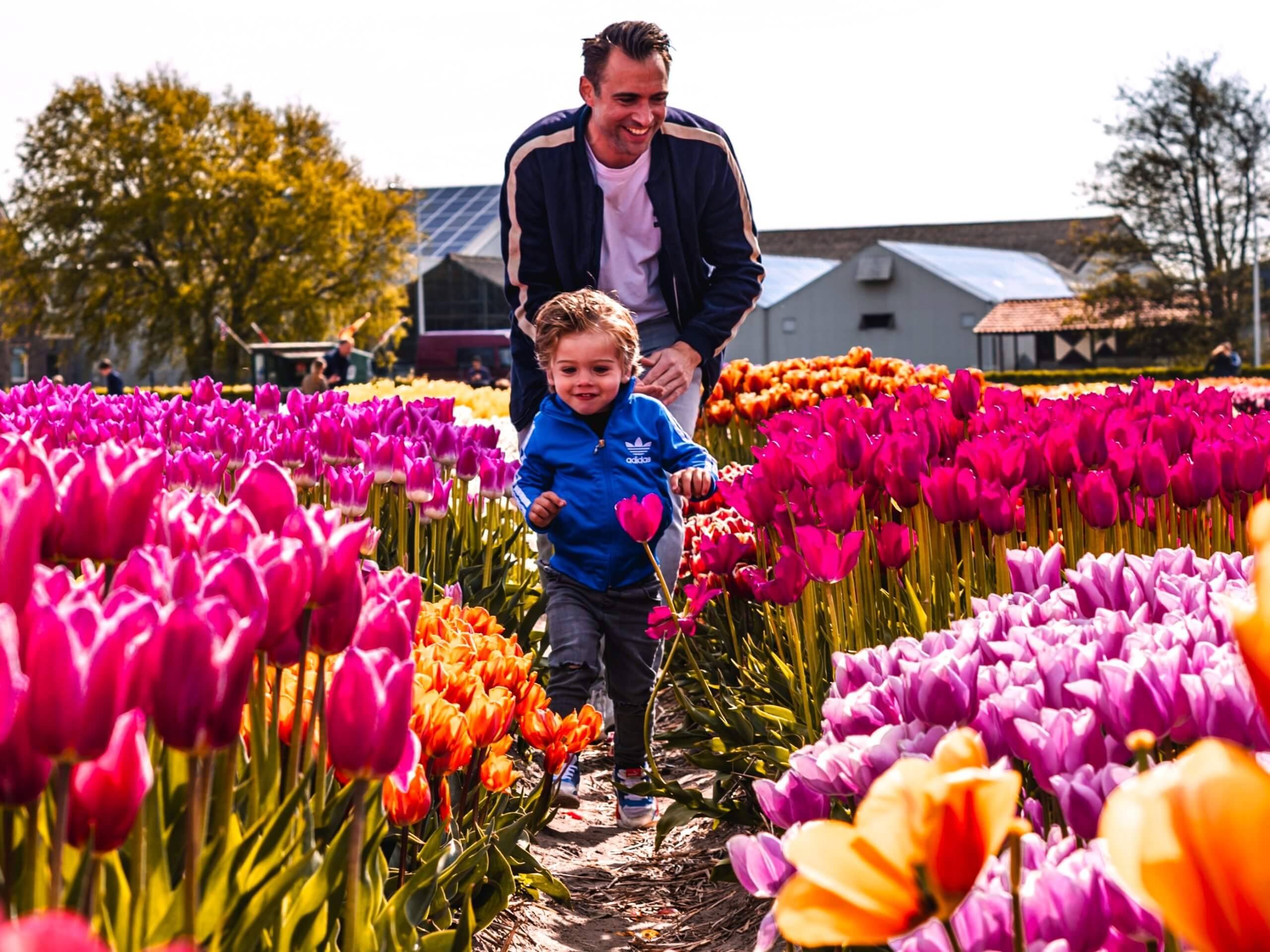 Vater und Sohn posieren in Blumenfeldern - Tulip Experience Amsterdam