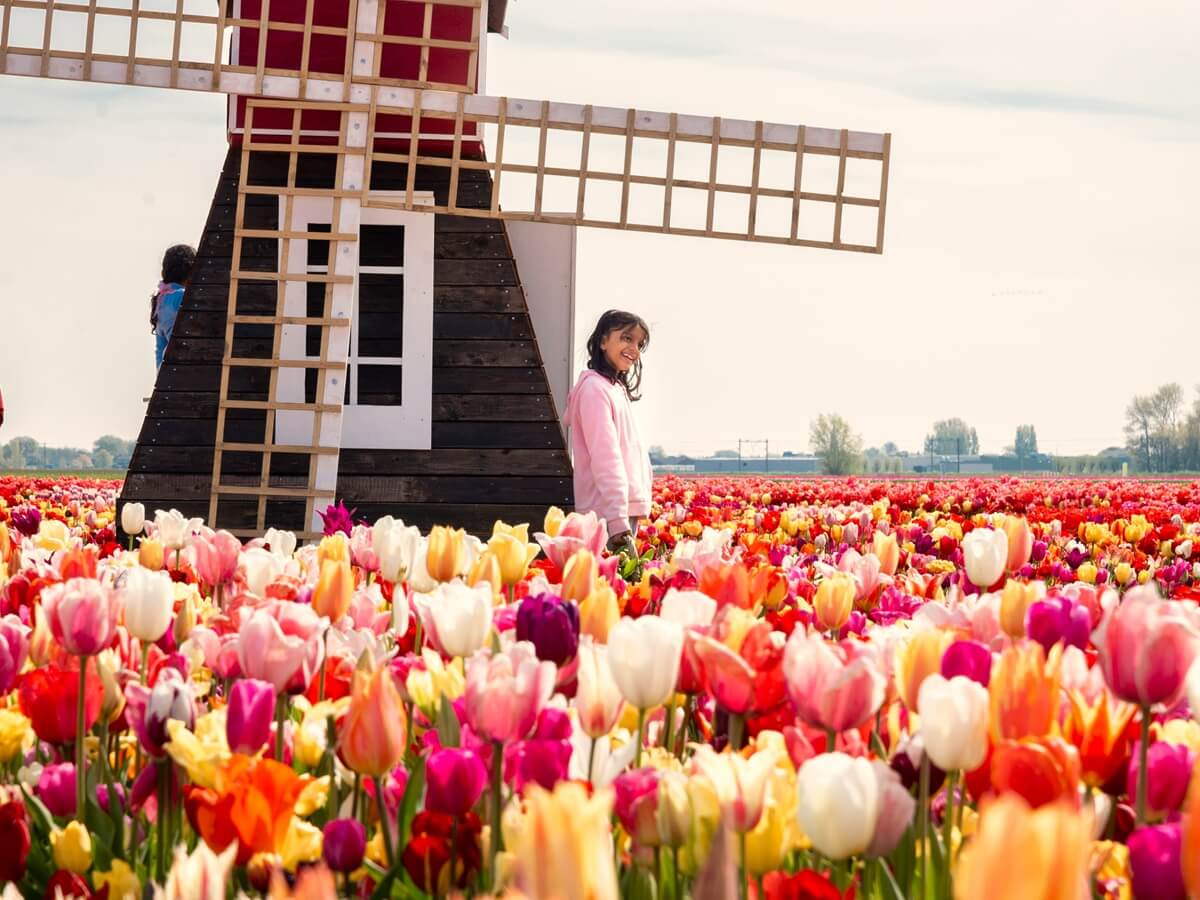 Fille posant devant un moulin miniature dans un champ de fleurs - Tulip Experience Amsterdam Fille posant devant un moulin miniature dans un champ de fleurs - Tulip Experience Amsterdam